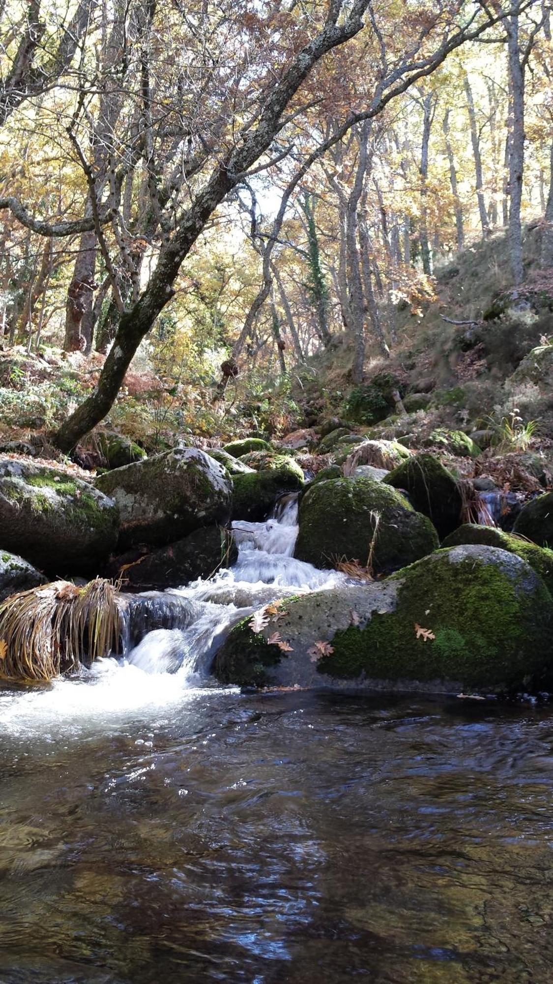 Casa Rural Con Encanto "Los Postigos" บาโญส เด มอนเตมายอร์ ภายนอก รูปภาพ